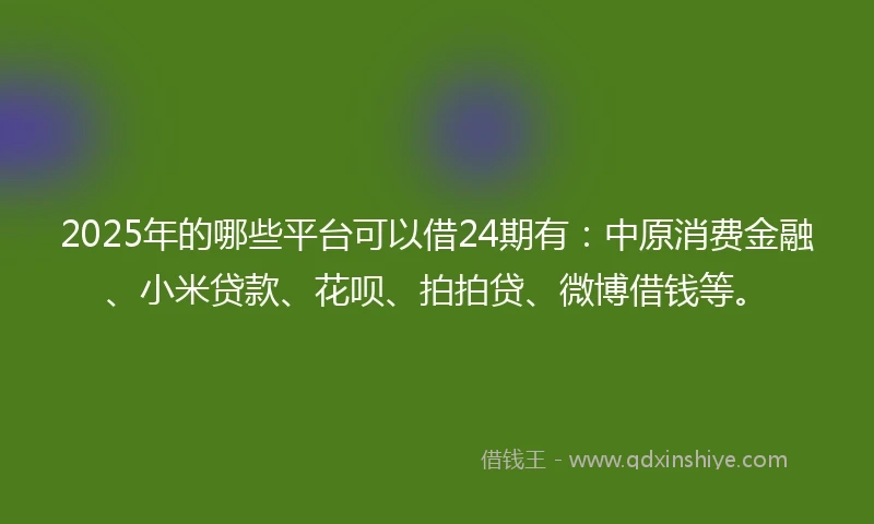 2025年的哪些平台可以借24期有：中原消费金融、小米贷款、花呗、拍拍贷、微博借钱等。