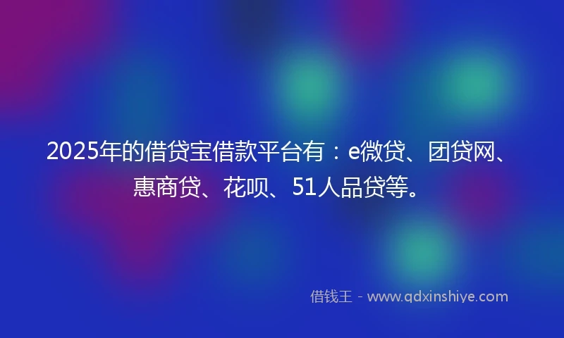 2025年的借贷宝借款平台有：e微贷、团贷网、惠商贷、花呗、51人品贷等。