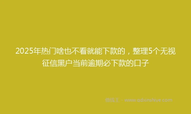 2025年热门啥也不看就能下款的，整理5个无视征信黑户当前逾期必下款的口子