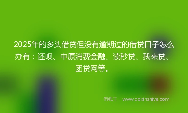 2025年的多头借贷但没有逾期过的借贷口子怎么办有：还呗、中原消费金融、读秒贷、我来贷、团贷网等。