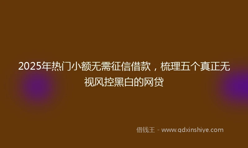 2025年热门小额无需征信借款，梳理五个真正无视风控黑白的网贷