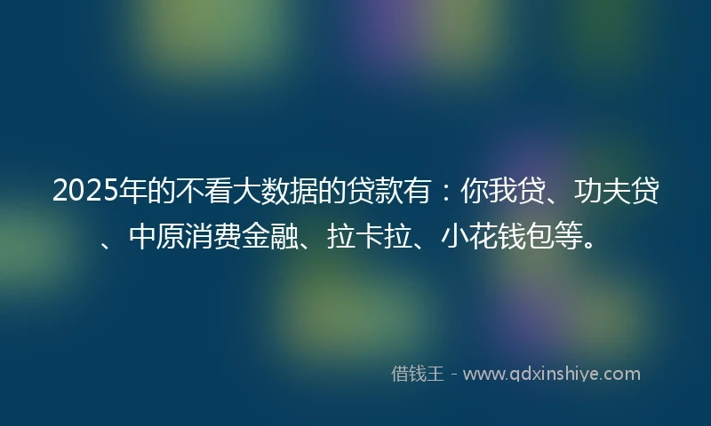 2025年的不看大数据的贷款有：你我贷、功夫贷、中原消费金融、拉卡拉、小花钱包等。