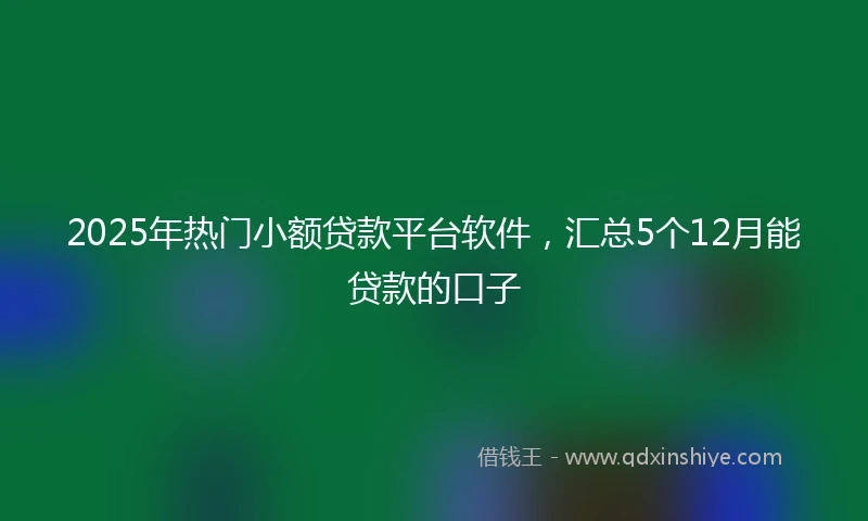 2025年热门小额贷款平台软件，汇总5个12月能贷款的口子