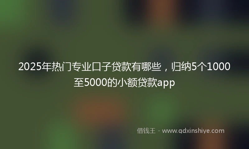 2025年热门专业口子贷款有哪些，归纳5个1000至5000的小额贷款app