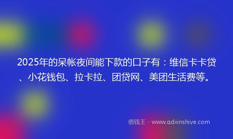2025年的呆帐夜间能下款的口子有：维信卡卡贷、小花钱包、拉卡拉、团贷网、美团生活费等。
