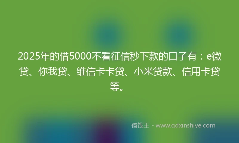 2025年的借5000不看征信秒下款的口子有：e微贷、你我贷、维信卡卡贷、小米贷款、信用卡贷等。