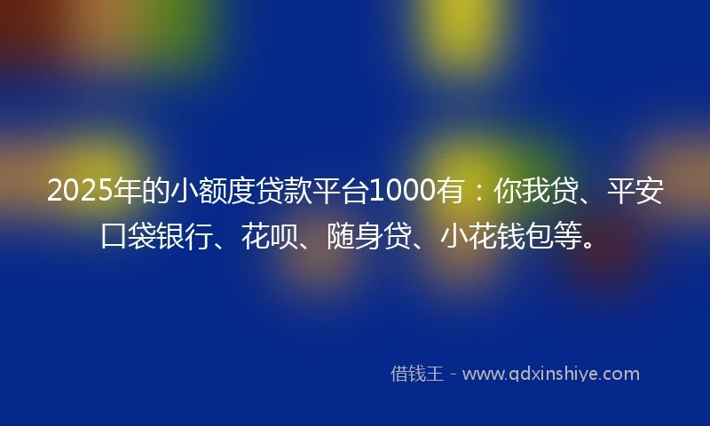 2025年的小额度贷款平台1000有：你我贷、平安口袋银行、花呗、随身贷、小花钱包等。