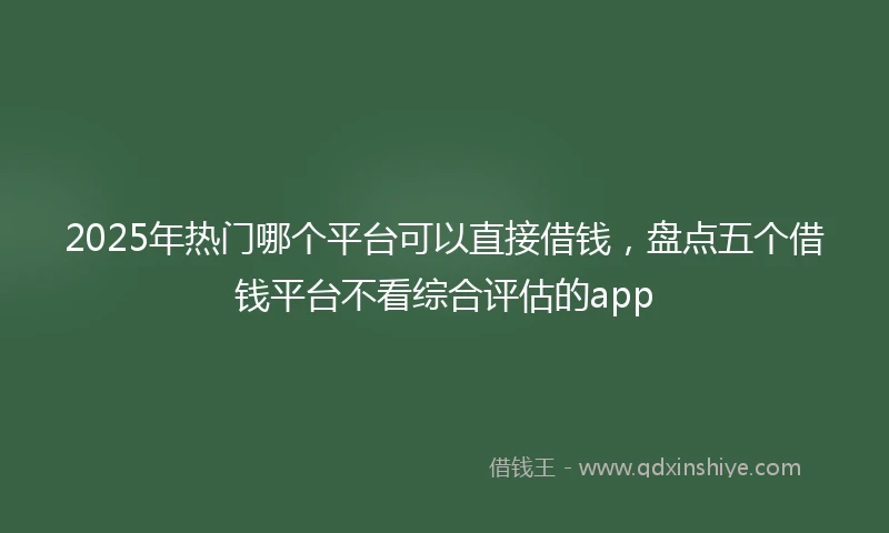 2025年热门哪个平台可以直接借钱，盘点五个借钱平台不看综合评估的app