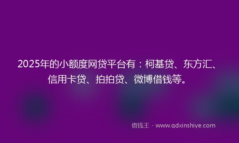 2025年的小额度网贷平台有：柯基贷、东方汇、信用卡贷、拍拍贷、微博借钱等。
