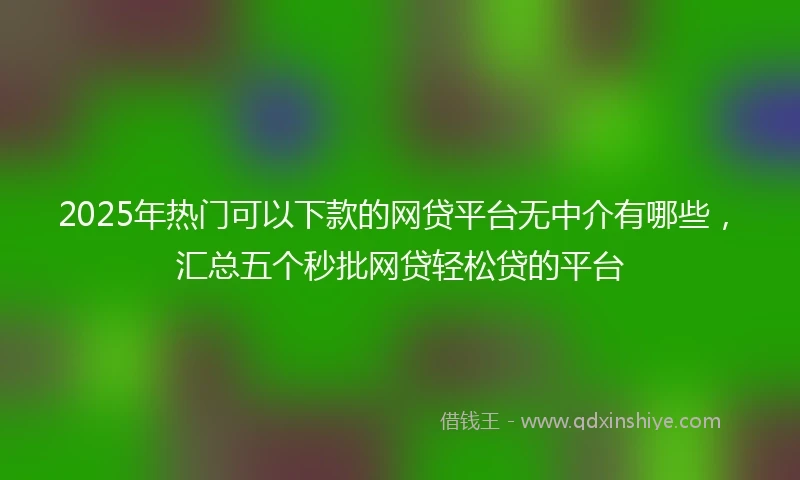 2025年热门可以下款的网贷平台无中介有哪些，汇总五个秒批网贷轻松贷的平台