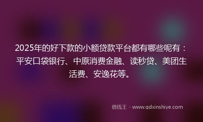 2025年的好下款的小额贷款平台都有哪些呢有：平安口袋银行、中原消费金融、读秒贷、美团生活费、安逸花等。