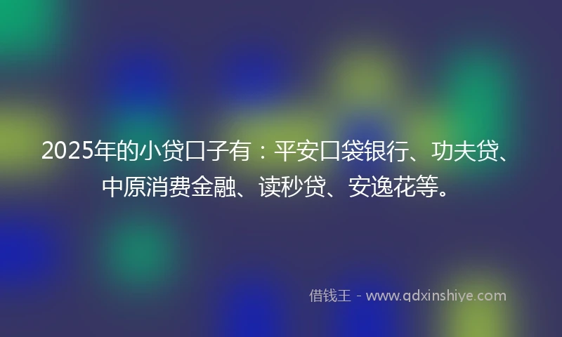 2025年的小贷口子有：平安口袋银行、功夫贷、中原消费金融、读秒贷、安逸花等。