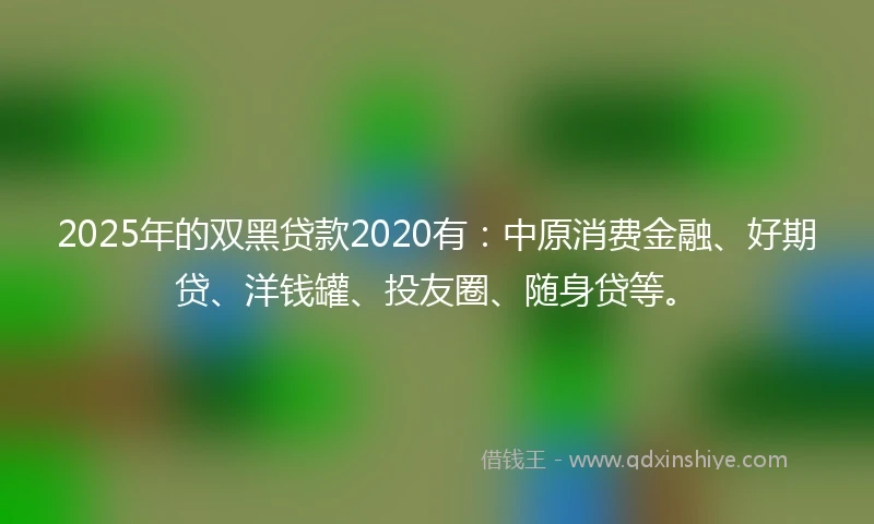 2025年的双黑贷款2020有：中原消费金融、好期贷、洋钱罐、投友圈、随身贷等。