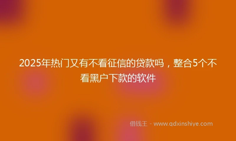 2025年热门又有不看征信的贷款吗，整合5个不看黑户下款的软件