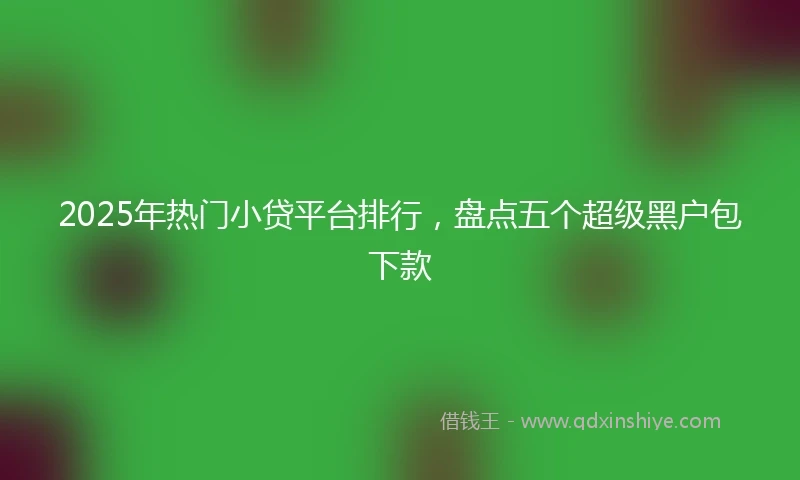 2025年热门小贷平台排行，盘点五个超级黑户包下款