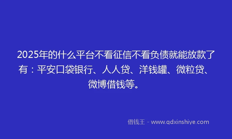 2025年的什么平台不看征信不看负债就能放款了有：平安口袋银行、人人贷、洋钱罐、微粒贷、微博借钱等。
