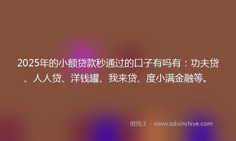 2025年的小额贷款秒通过的口子有吗有：功夫贷、人人贷、洋钱罐、我来贷、度小满金融等。