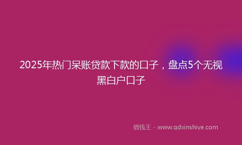 2025年热门呆账贷款下款的口子，盘点5个无视黑白户口子