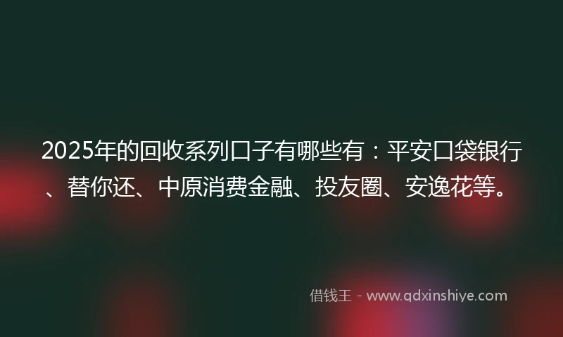 2025年的回收系列口子有哪些有：平安口袋银行、替你还、中原消费金融、投友圈、安逸花等。