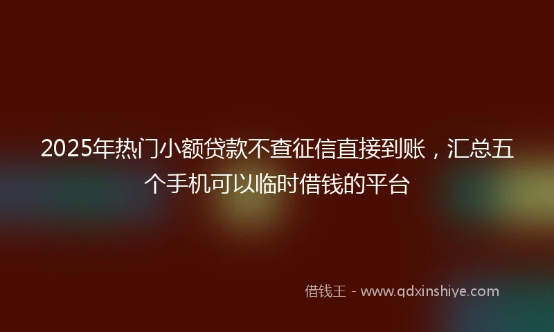2025年热门小额贷款不查征信直接到账，汇总五个手机可以临时借钱的平台