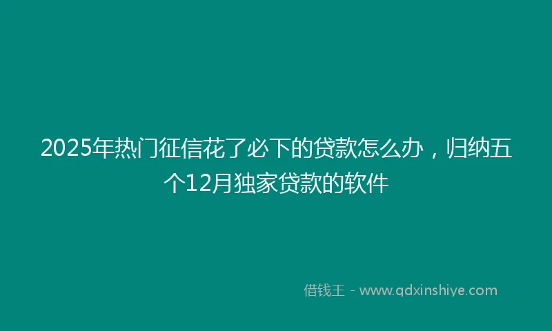 2025年热门征信花了必下的贷款怎么办，归纳五个12月独家贷款的软件