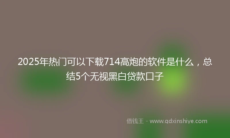 2025年热门可以下载714高炮的软件是什么，总结5个无视黑白贷款口子