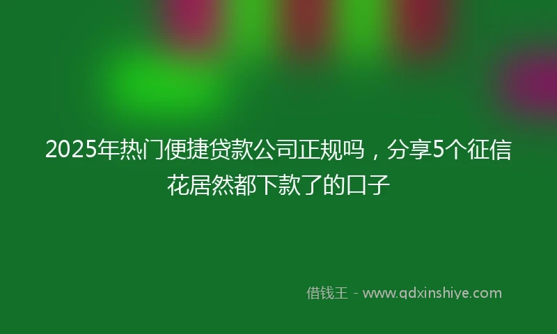 2025年热门便捷贷款公司正规吗，分享5个征信花居然都下款了的口子