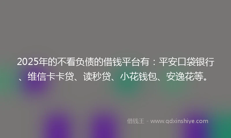 2025年的不看负债的借钱平台有：平安口袋银行、维信卡卡贷、读秒贷、小花钱包、安逸花等。