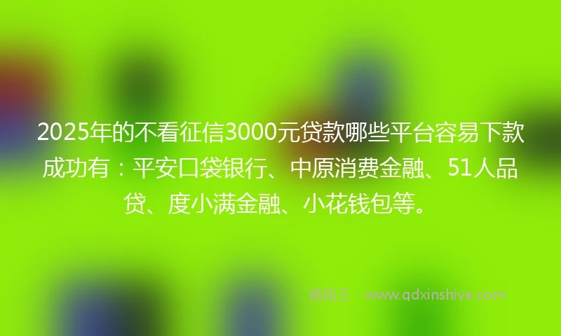 2025年的不看征信3000元贷款哪些平台容易下款成功有：平安口袋银行、中原消费金融、51人品贷、度小满金融、小花钱包等。