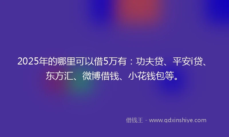 2025年的哪里可以借5万有：功夫贷、平安i贷、东方汇、微博借钱、小花钱包等。