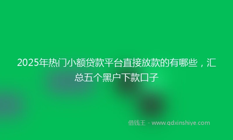 2025年热门小额贷款平台直接放款的有哪些，汇总五个黑户下款口子
