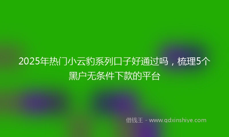 2025年热门小云豹系列口子好通过吗，梳理5个黑户无条件下款的平台