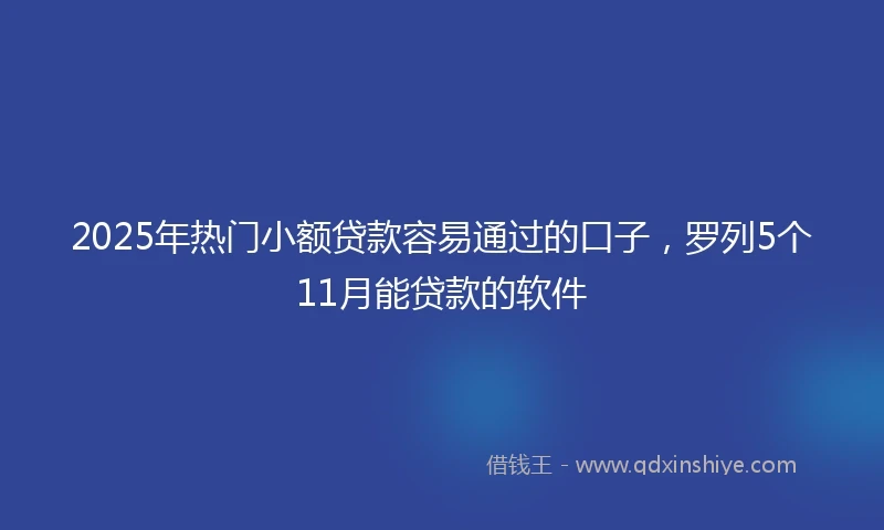 2025年热门小额贷款容易通过的口子，罗列5个11月能贷款的软件