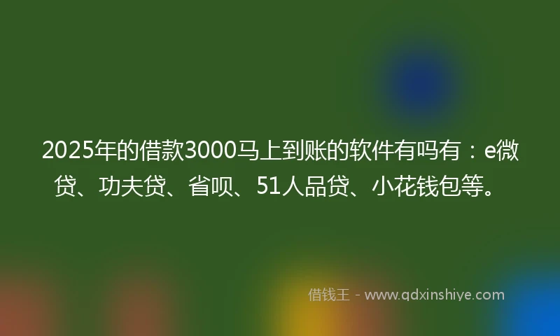2025年的借款3000马上到账的软件有吗有：e微贷、功夫贷、省呗、51人品贷、小花钱包等。