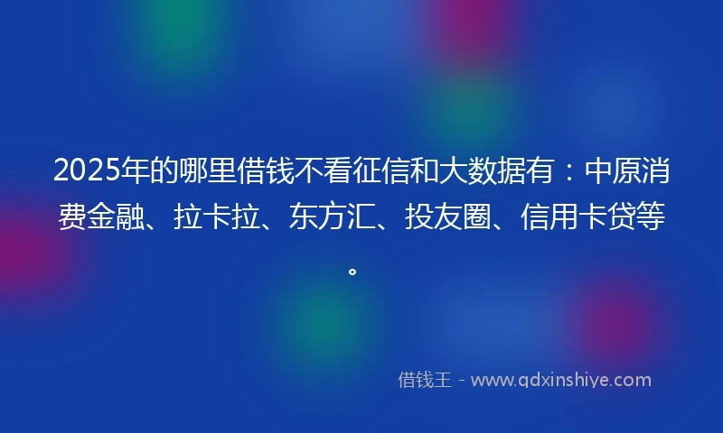 2025年的哪里借钱不看征信和大数据有：中原消费金融、拉卡拉、东方汇、投友圈、信用卡贷等。