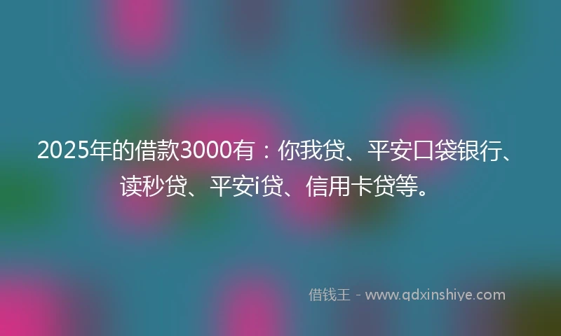 2025年的借款3000有：你我贷、平安口袋银行、读秒贷、平安i贷、信用卡贷等。