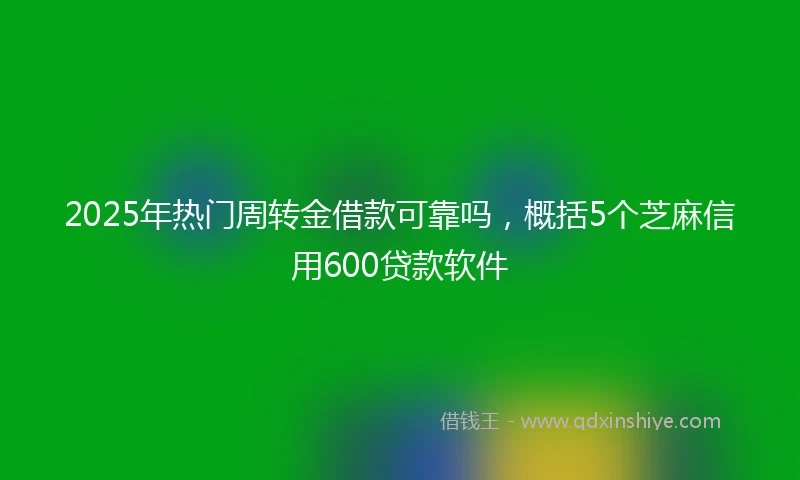 2025年热门周转金借款可靠吗，概括5个芝麻信用600贷款软件