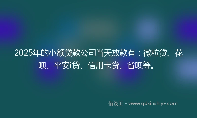 2025年的小额贷款公司当天放款有：微粒贷、花呗、平安i贷、信用卡贷、省呗等。