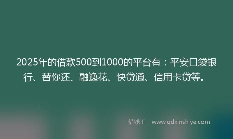 2025年的借款500到1000的平台有：平安口袋银行、替你还、融逸花、快贷通、信用卡贷等。