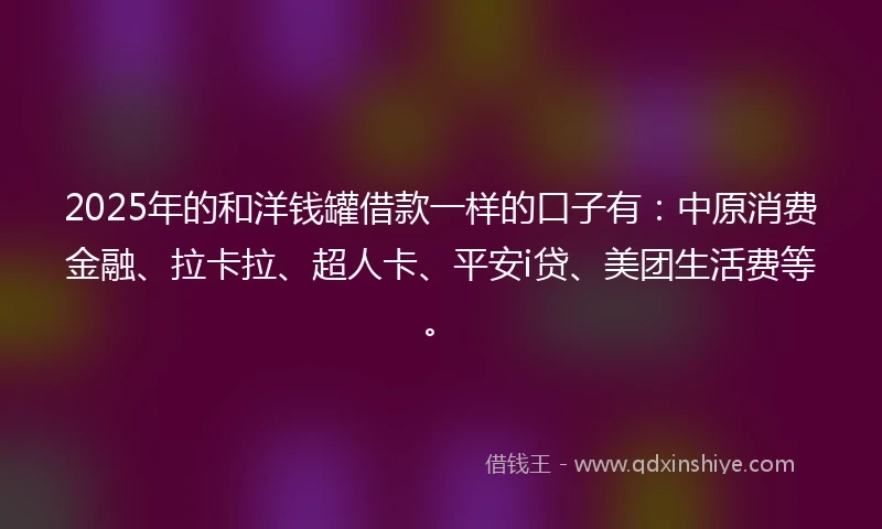2025年的和洋钱罐借款一样的口子有：中原消费金融、拉卡拉、超人卡、平安i贷、美团生活费等。