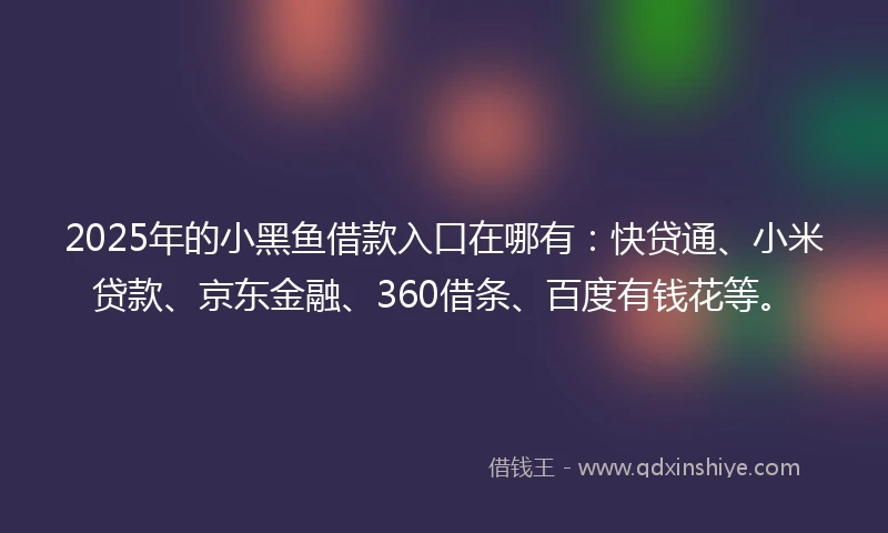 2025年的小黑鱼借款入口在哪有：快贷通、小米贷款、京东金融、360借条、百度有钱花等。