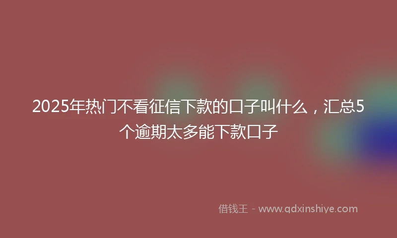 2025年热门不看征信下款的口子叫什么，汇总5个逾期太多能下款口子