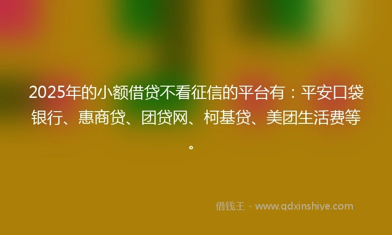 2025年的小额借贷不看征信的平台有：平安口袋银行、惠商贷、团贷网、柯基贷、美团生活费等。