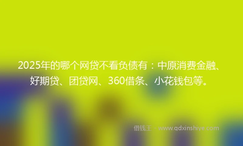 2025年的哪个网贷不看负债有：中原消费金融、好期贷、团贷网、360借条、小花钱包等。