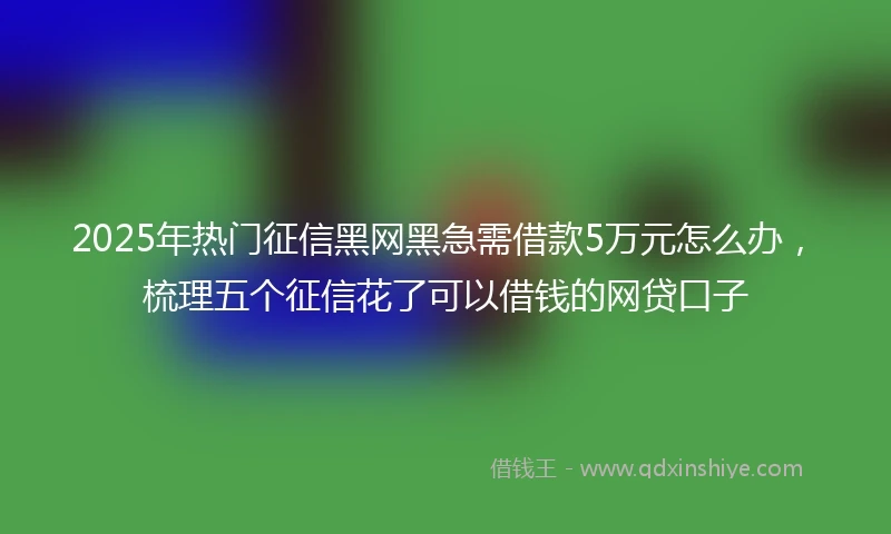 2025年热门征信黑网黑急需借款5万元怎么办，梳理五个征信花了可以借钱的网贷口子