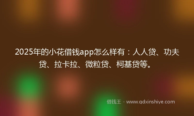 2025年的小花借钱app怎么样有：人人贷、功夫贷、拉卡拉、微粒贷、柯基贷等。