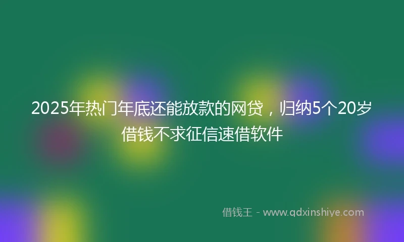 2025年热门年底还能放款的网贷，归纳5个20岁借钱不求征信速借软件