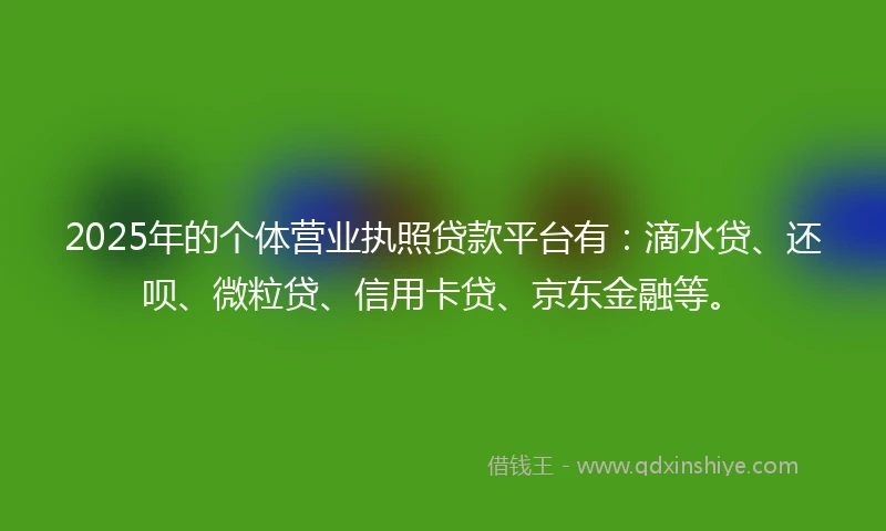 2025年的个体营业执照贷款平台有：滴水贷、还呗、微粒贷、信用卡贷、京东金融等。