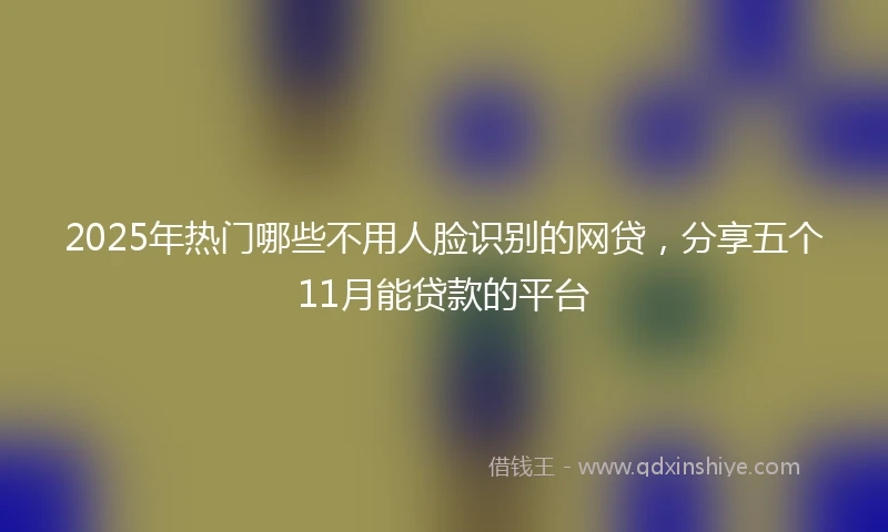 2025年热门哪些不用人脸识别的网贷，分享五个11月能贷款的平台