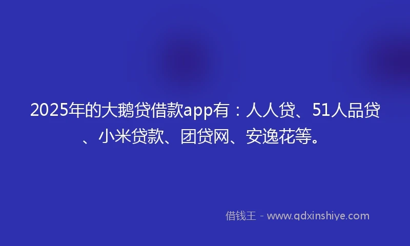2025年的大鹅贷借款app有：人人贷、51人品贷、小米贷款、团贷网、安逸花等。